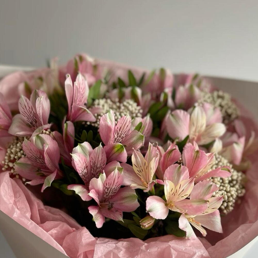 Blush Bloom😍
