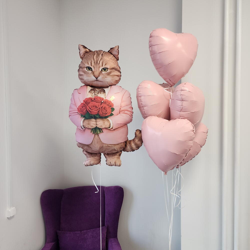 Шары девушке с котом, кот с цветами