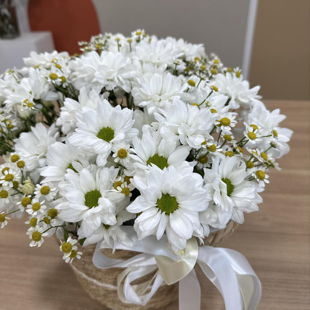 Ромашковое поле «композиция с ромашками»