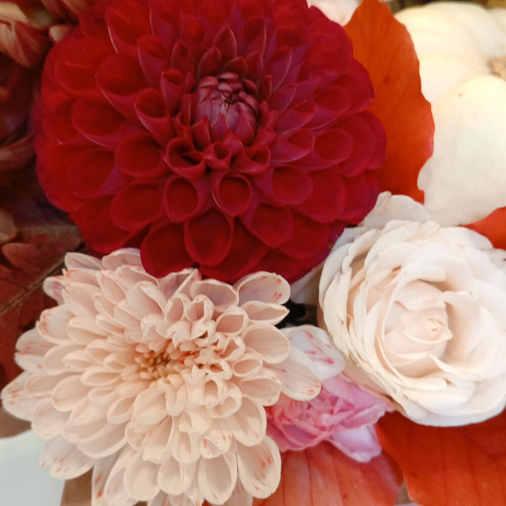 Композиция
