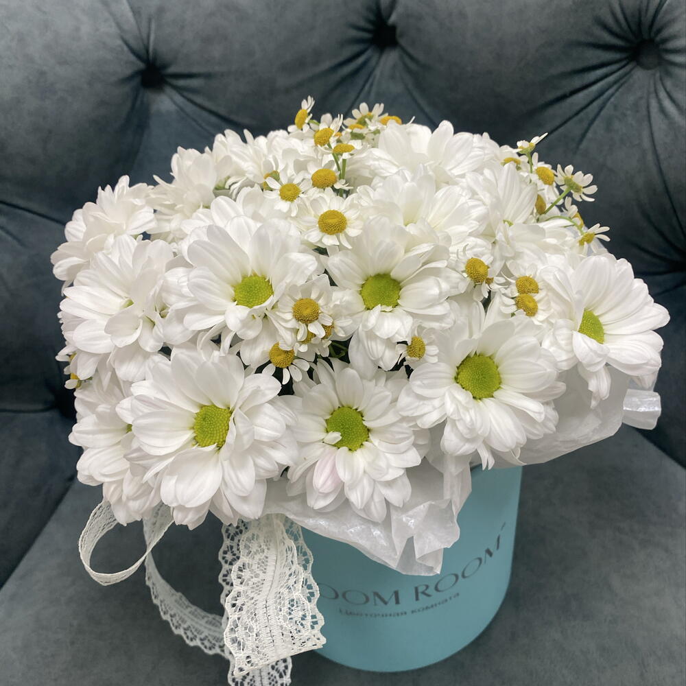 🤍Красивые ромашки Bloom room