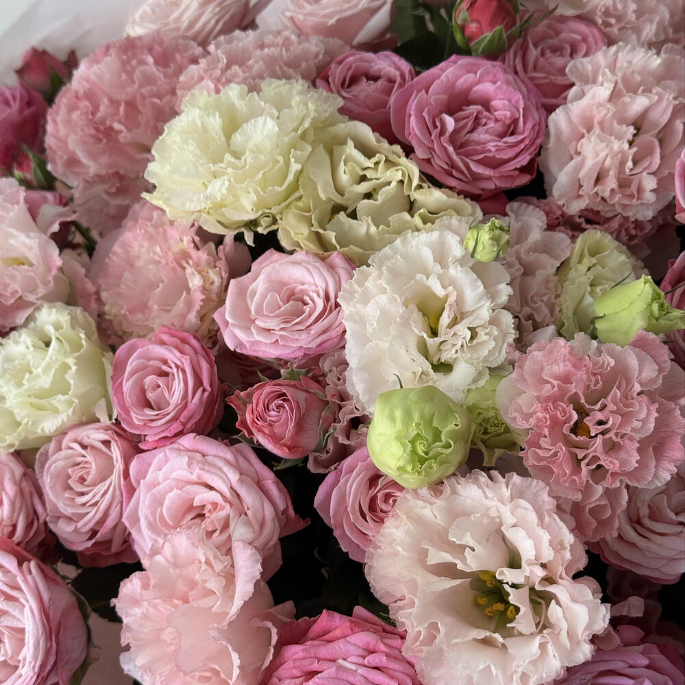 Pink reverie