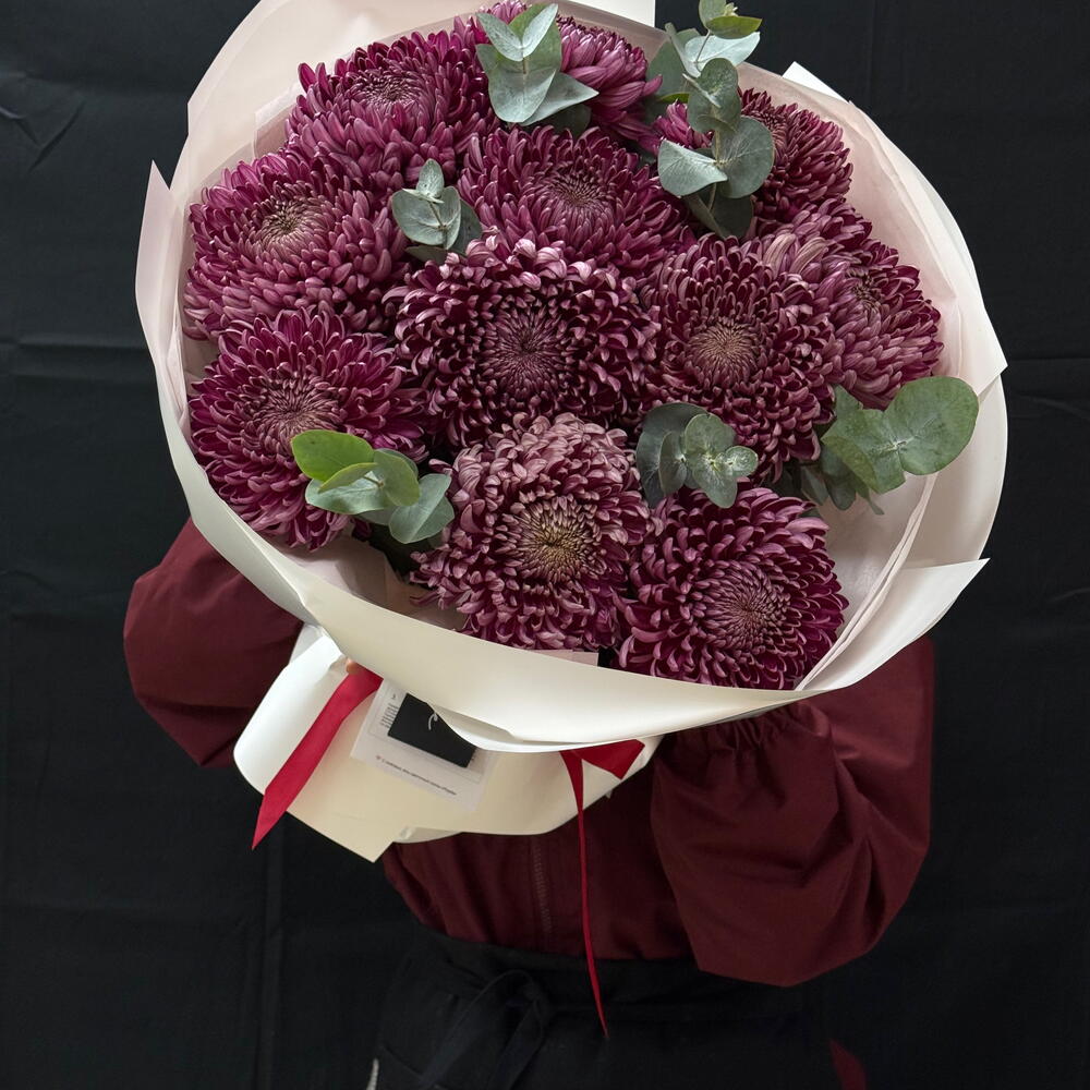Burgundy Velvet