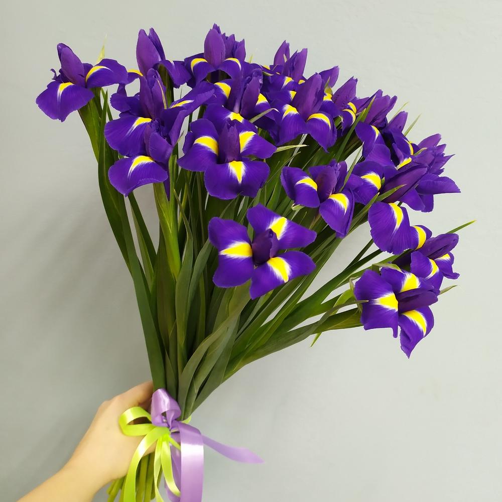 25 синих ирисов