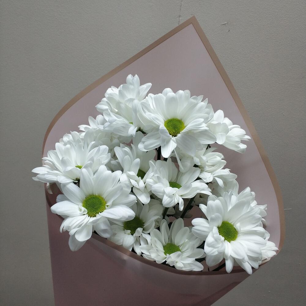 Лапочка