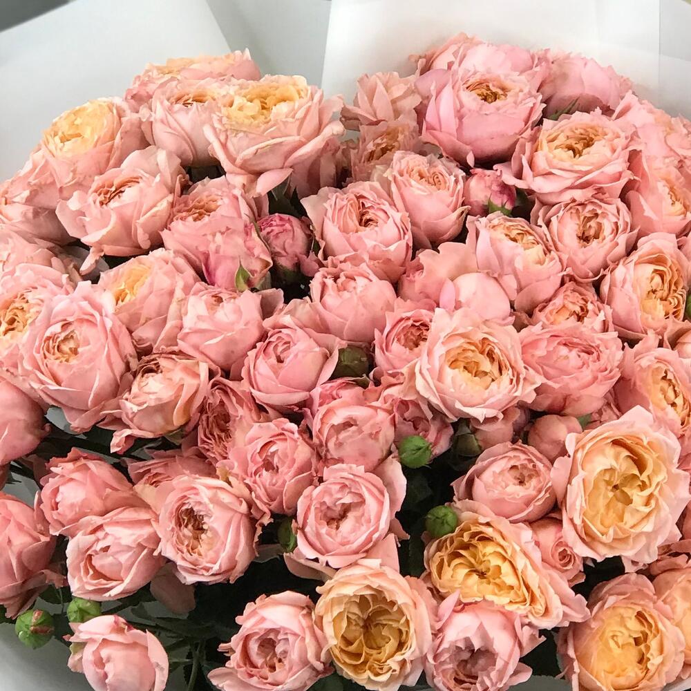 Julleta 🌸😍