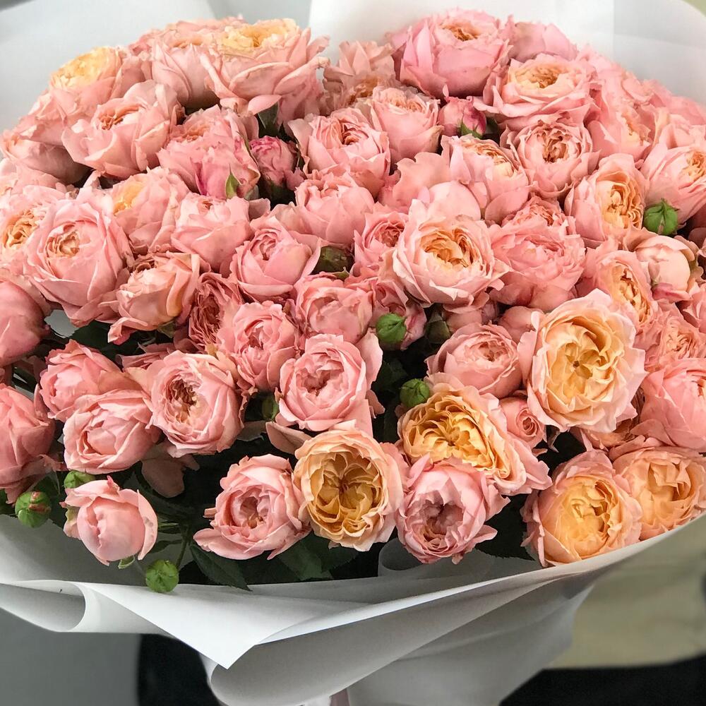 Julleta 🌸😍