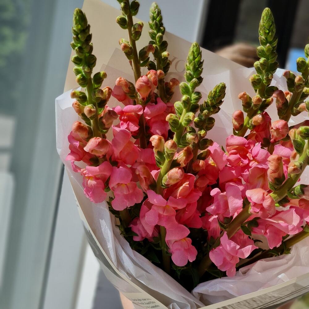 Bouquet with antirium