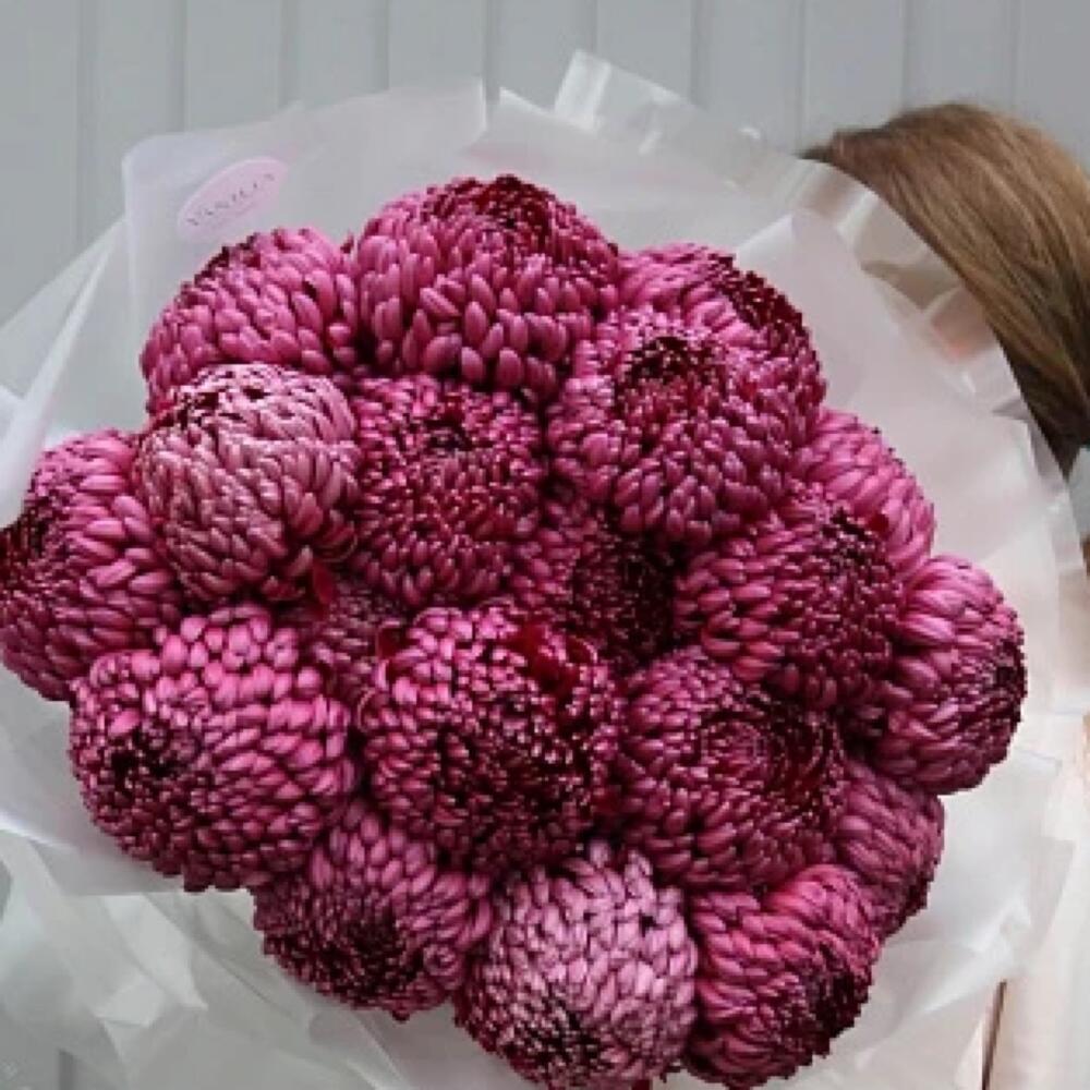 Невероятные Хризантемы 😍 бигуди