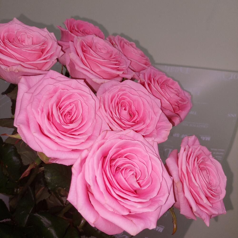 Букет 🌷