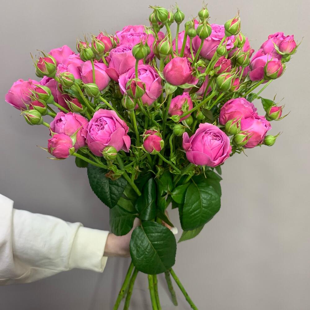 РОЗА КУСТОВАЯ 70 см 7 шт