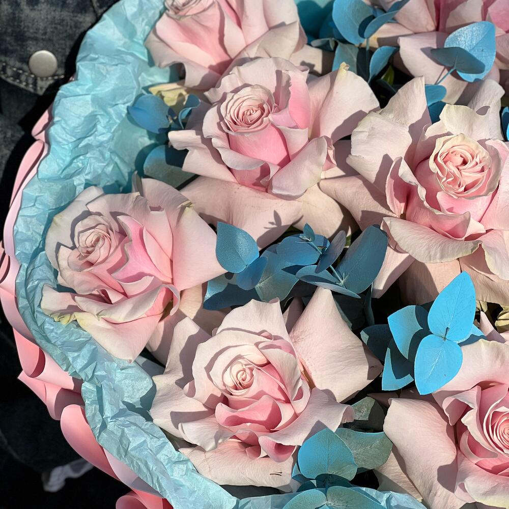 Roses