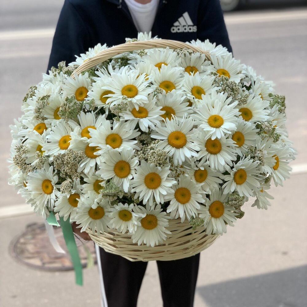 Ромашки садовые премиум в корзине