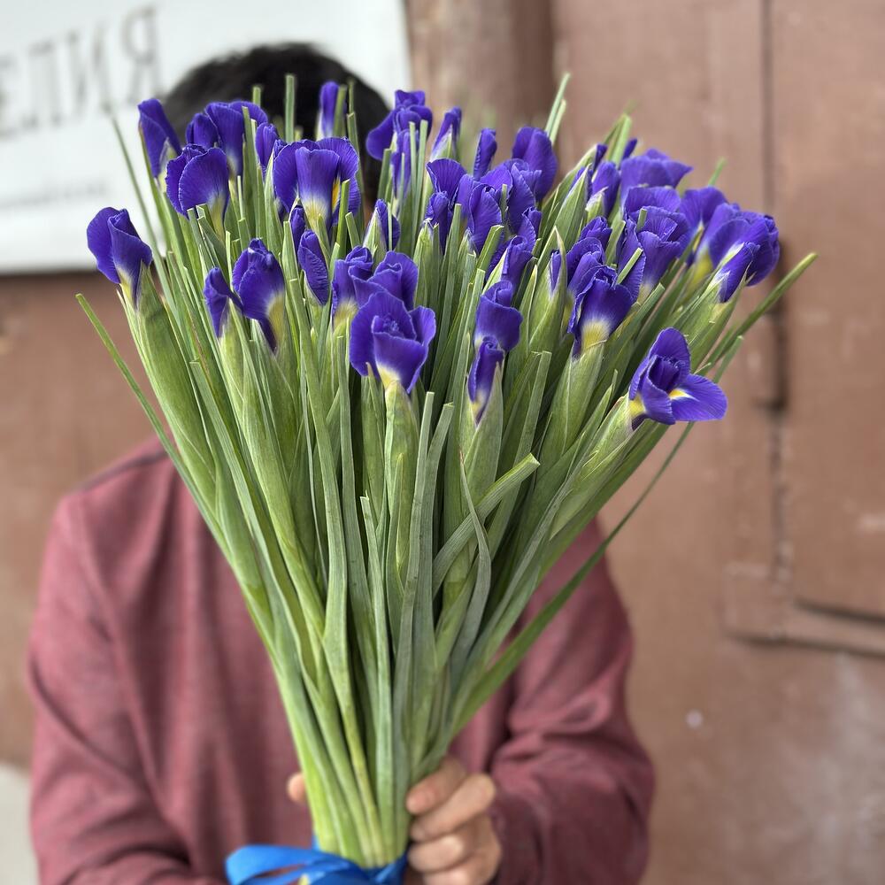 Ирис