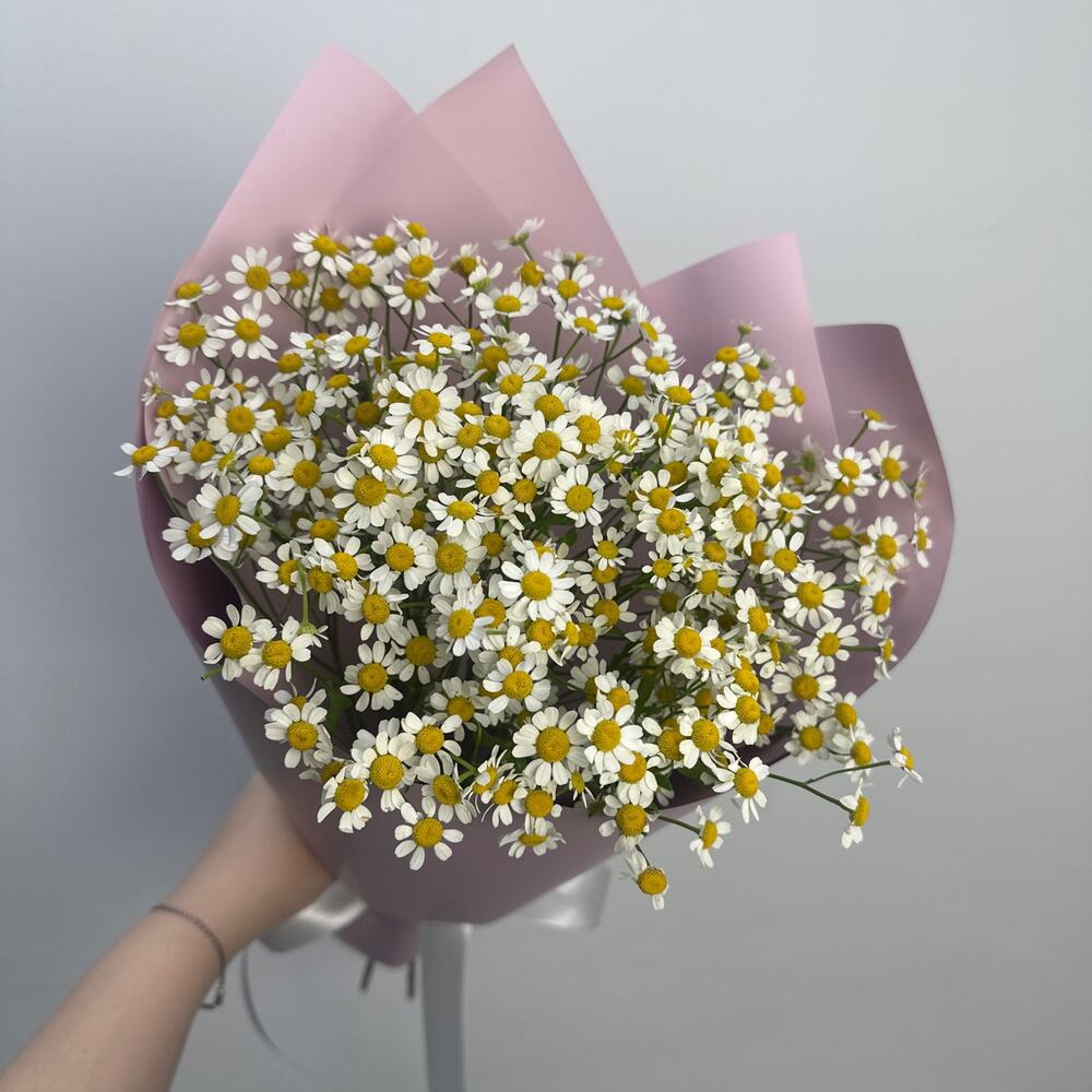 Ароматные ромашки🌸 монобукет комплимент
