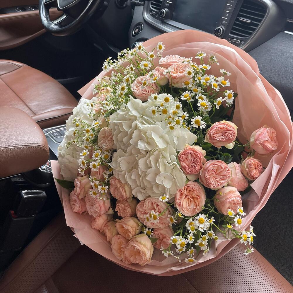 Elegancy🌸