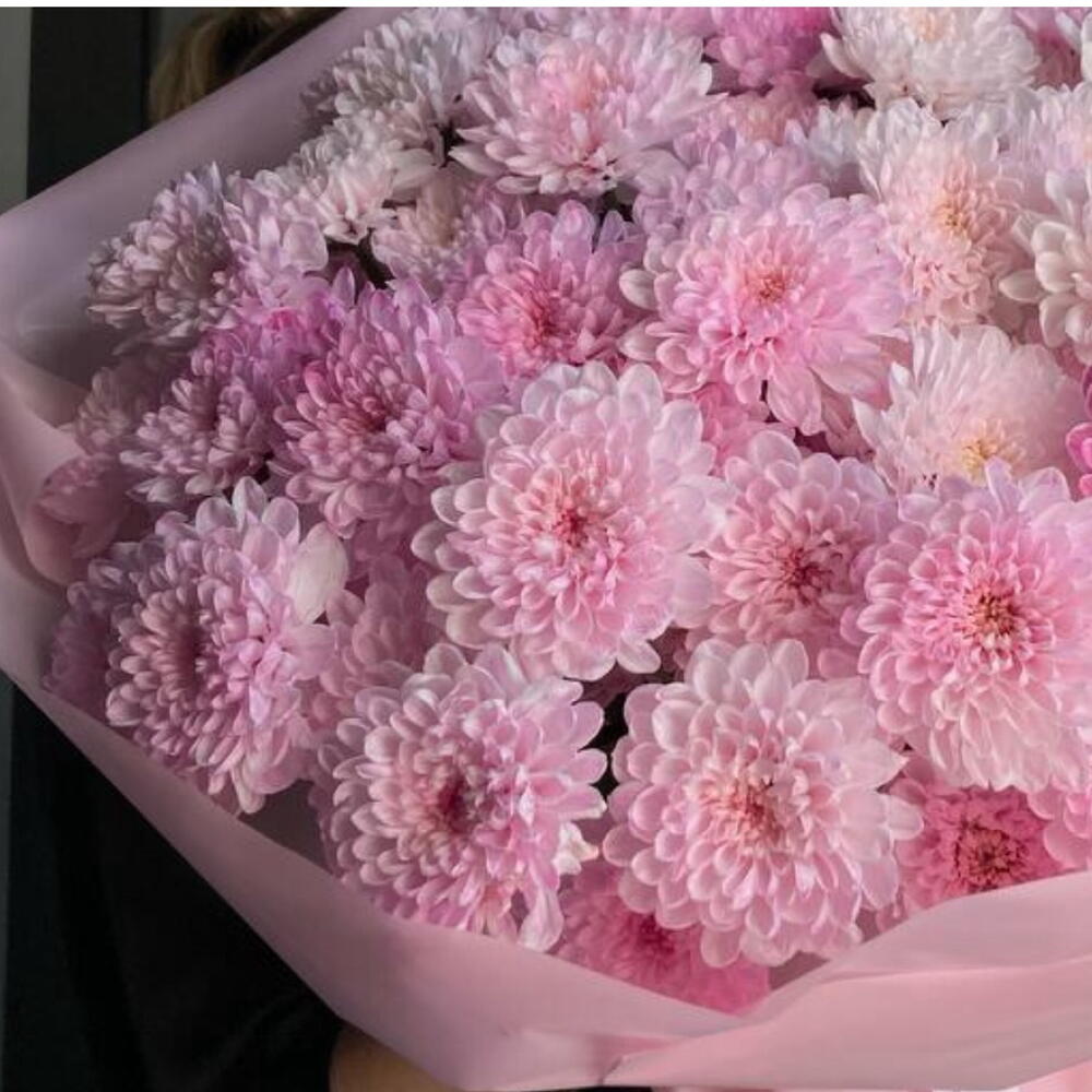 Большой букет из 15 хризантем