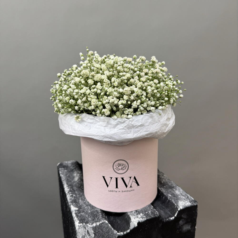 Viva Box · Нежное облако