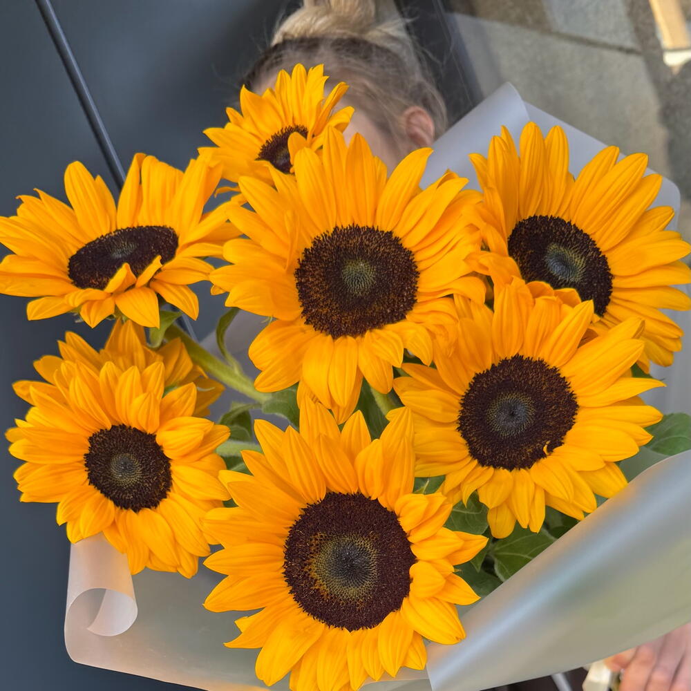 Sunflower 🌻