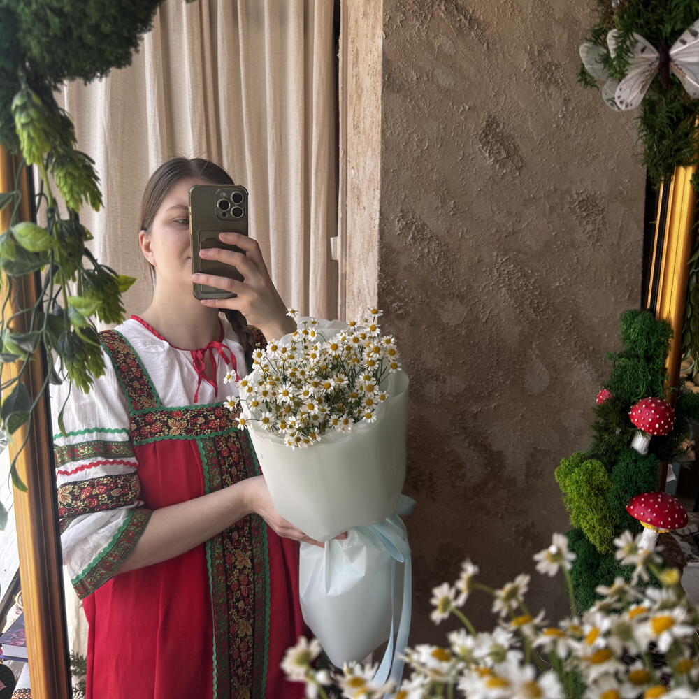 Ромашки 5 веток