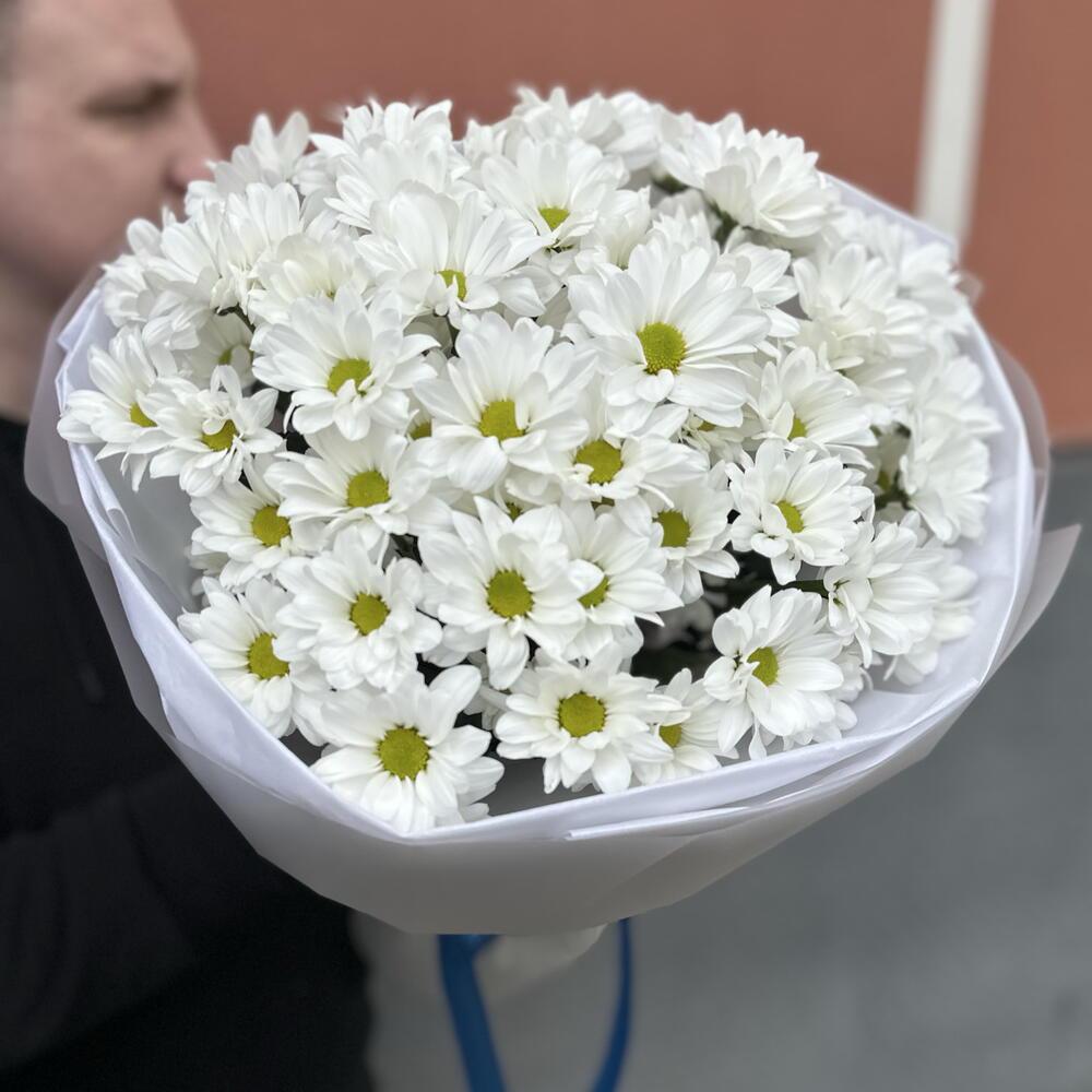 Ромашка 9