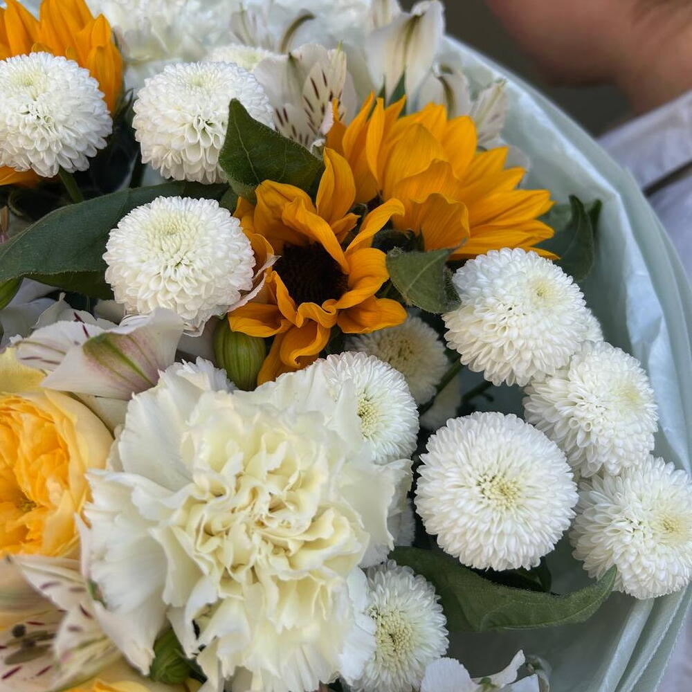 Солнечное сияние