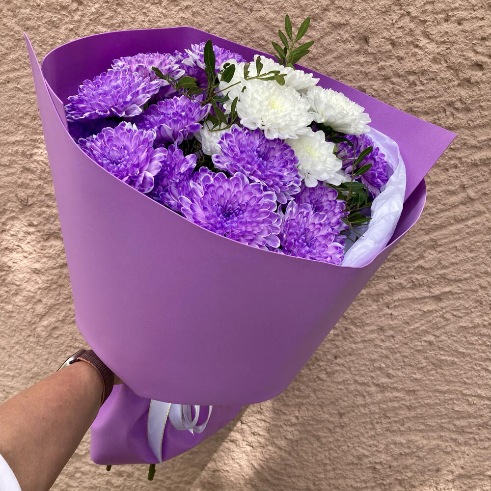 Бархатные мечты
