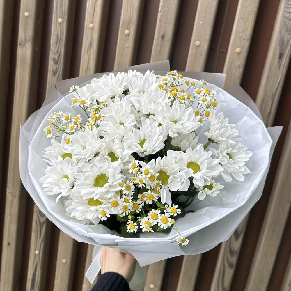 Букет Белые ромашки 🤍💛
