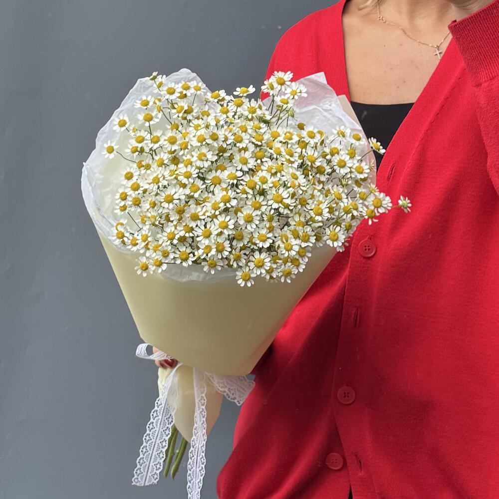 Букет Ромашки