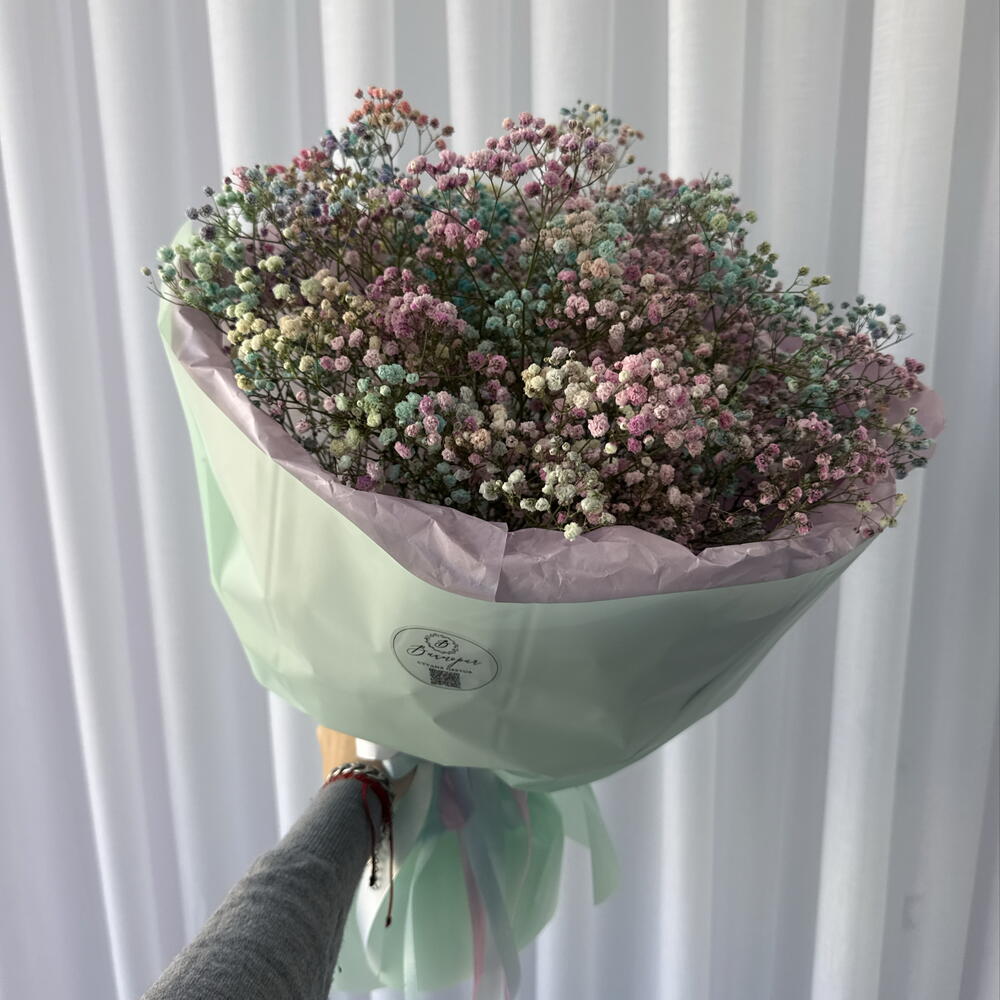 Разноцветная гипсофила