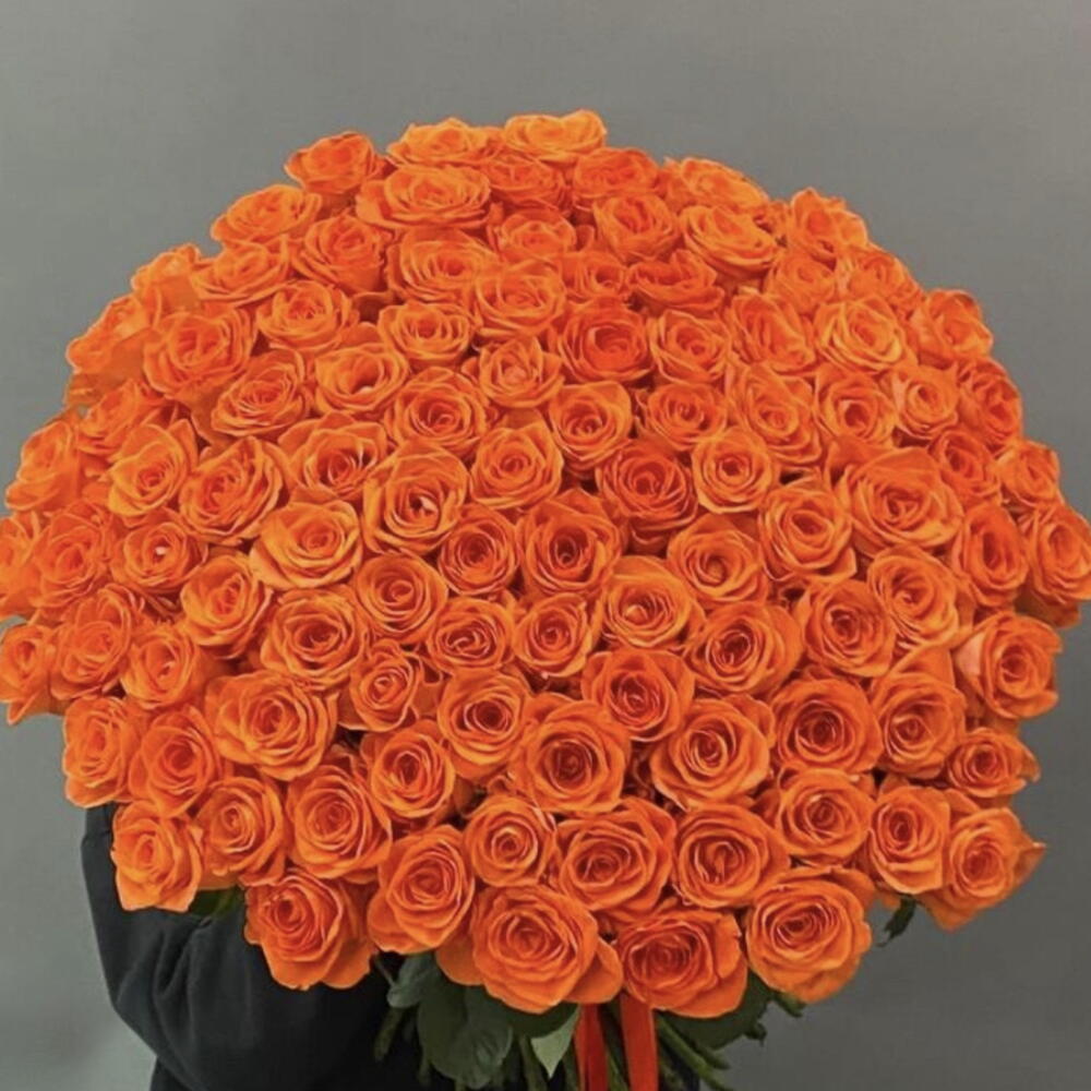 101 rosa