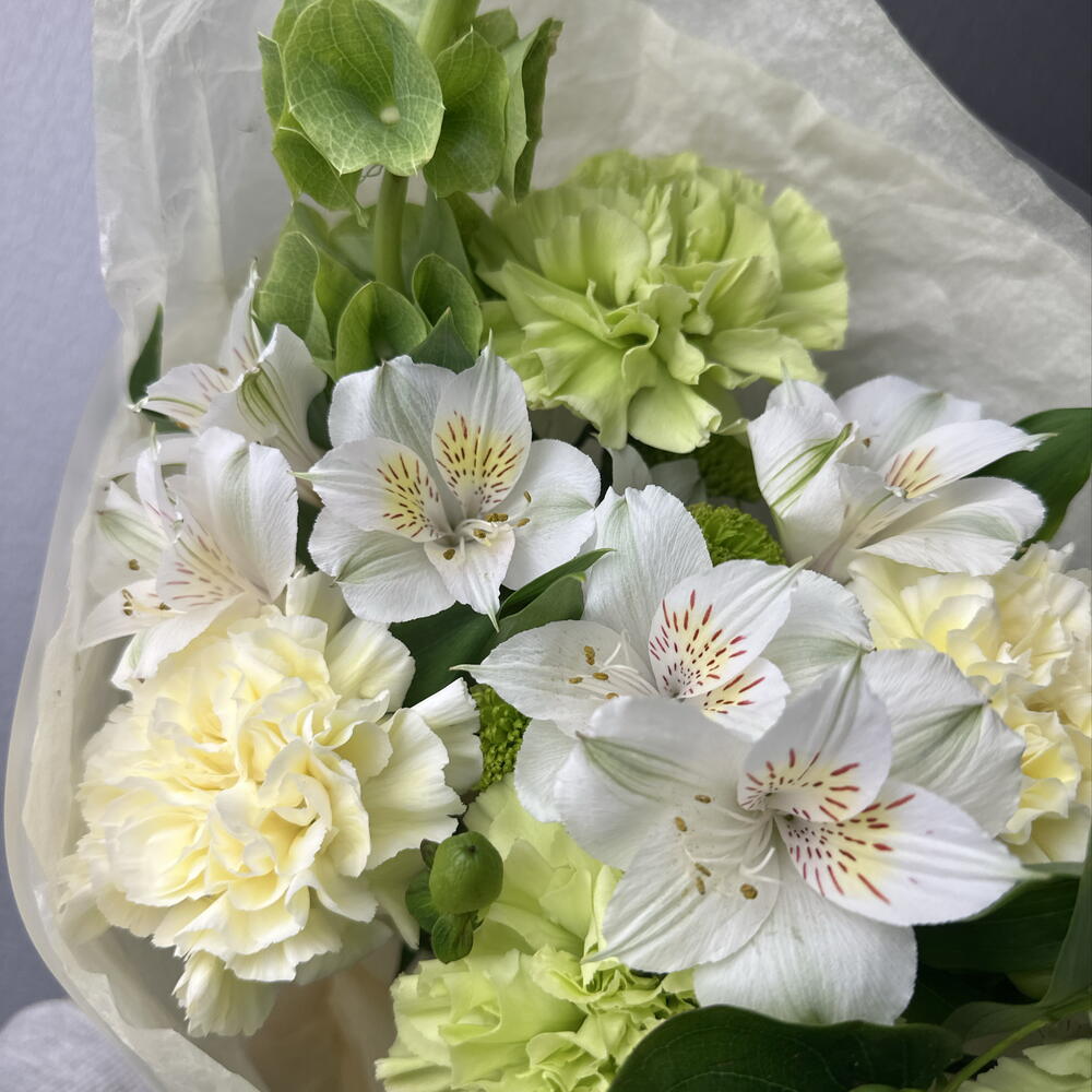 Бука Зеленая - букет изящный 💐