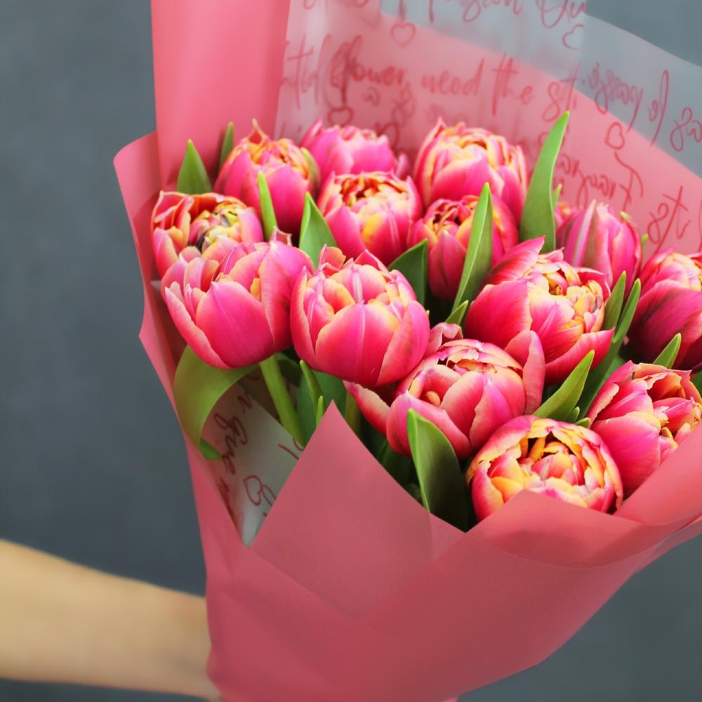 The first tulips