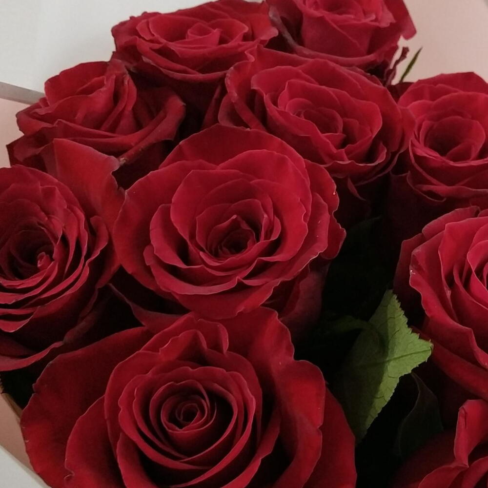 💐Розы красные