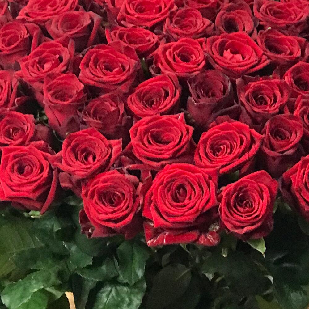 Р Роза  🌹