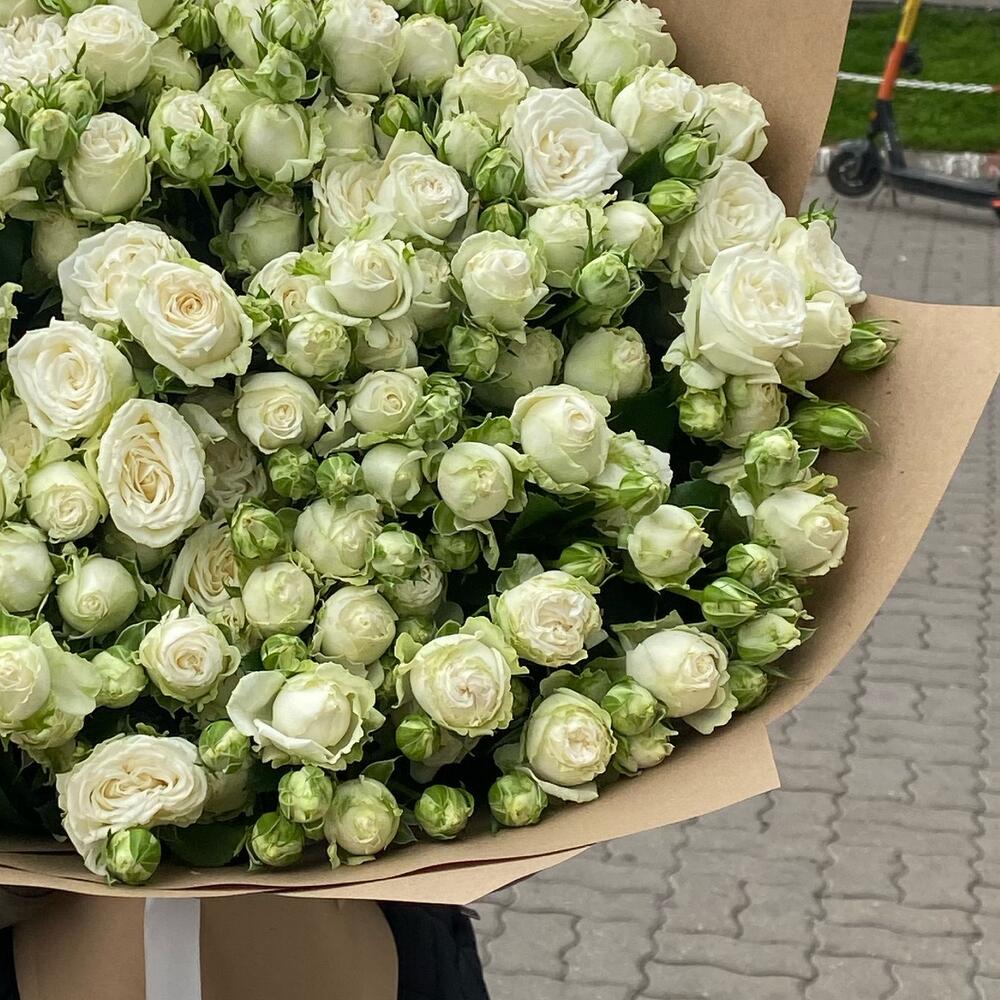 Кустовая Роза
