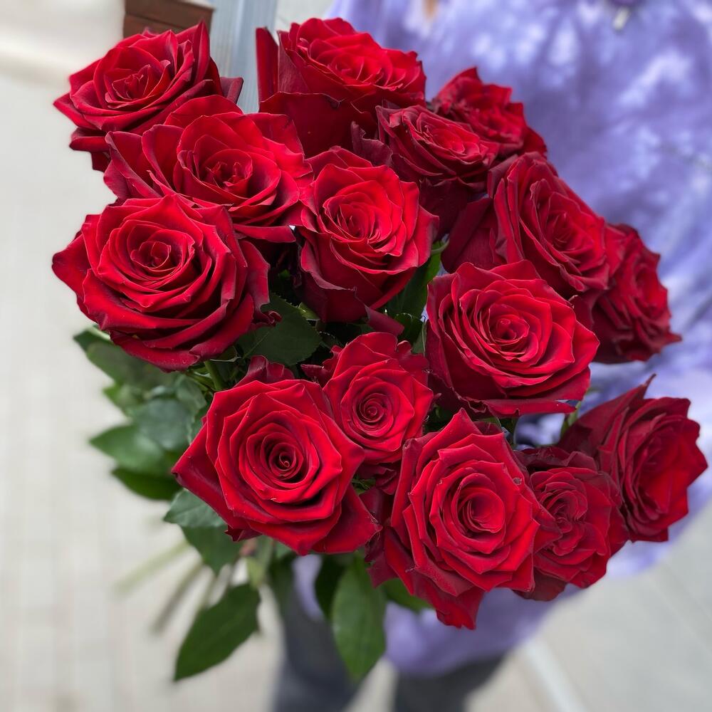 Бархатные розы 🌹