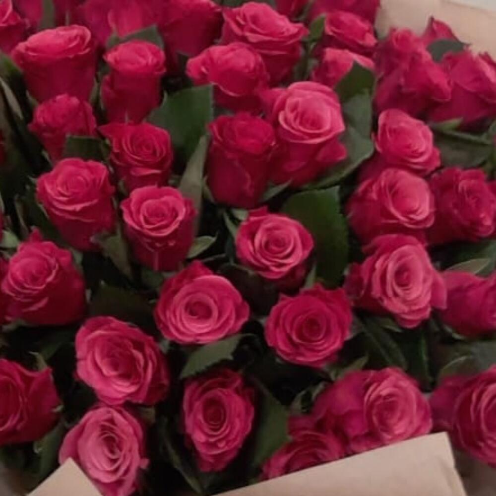 51 roses