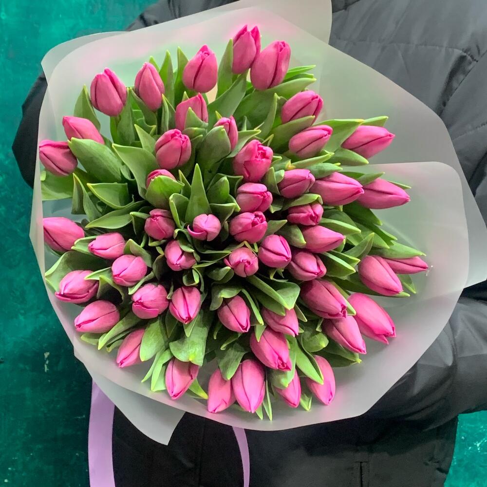 Tulips 🌷