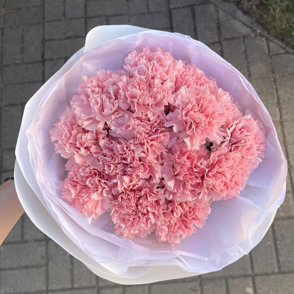 Букет из 15 диантусов