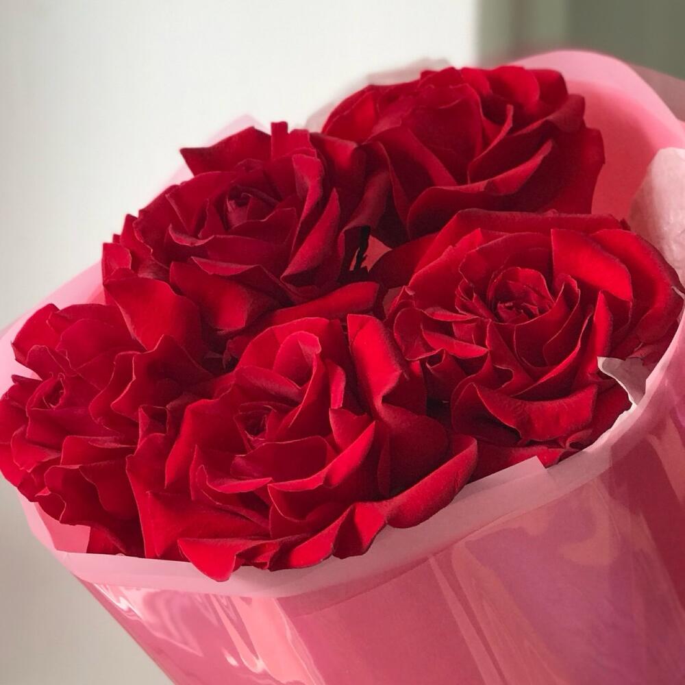 5 красных французских роз Фридом букет 9 Buket flowers