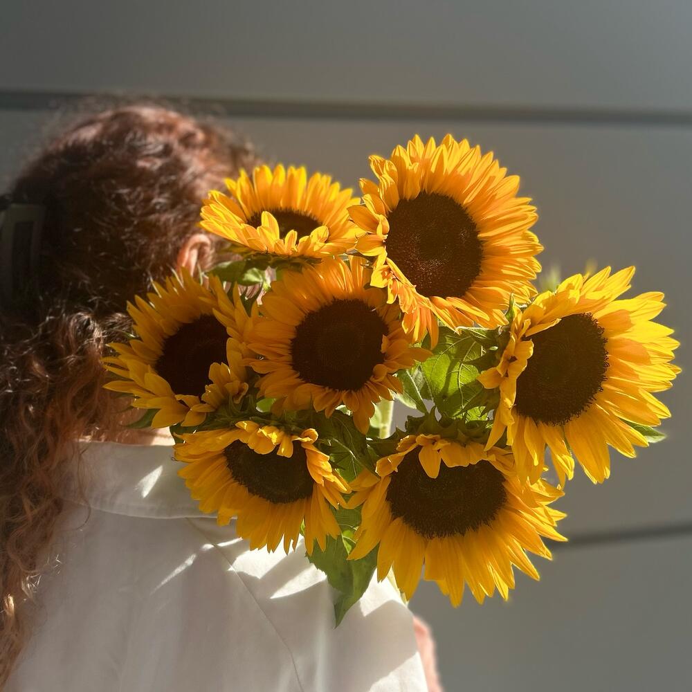 Подсолнух