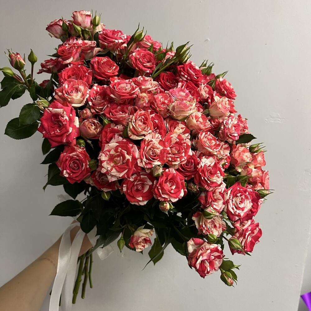 Кустовая Роза