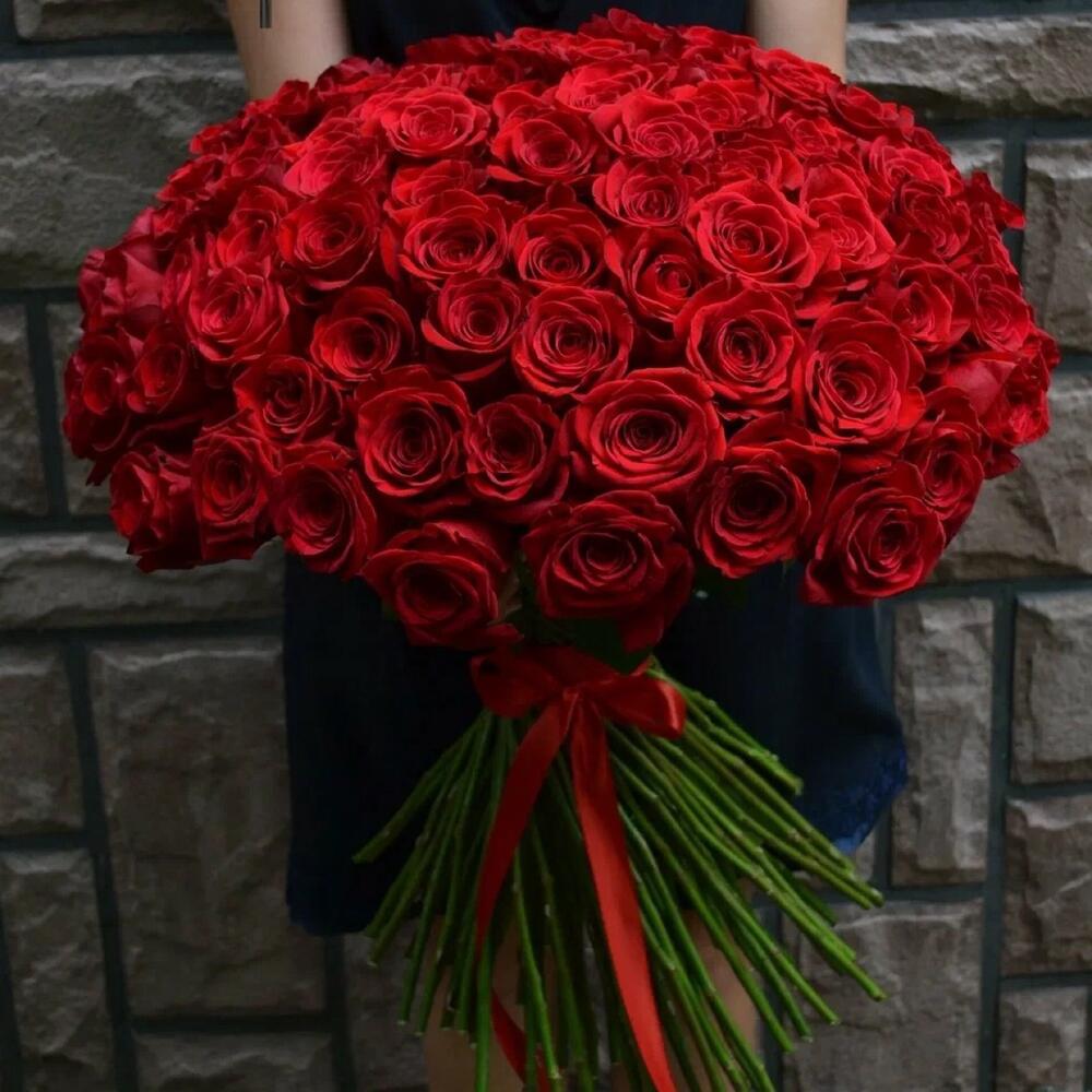 101 красная роза 🌹 ️‍🔥