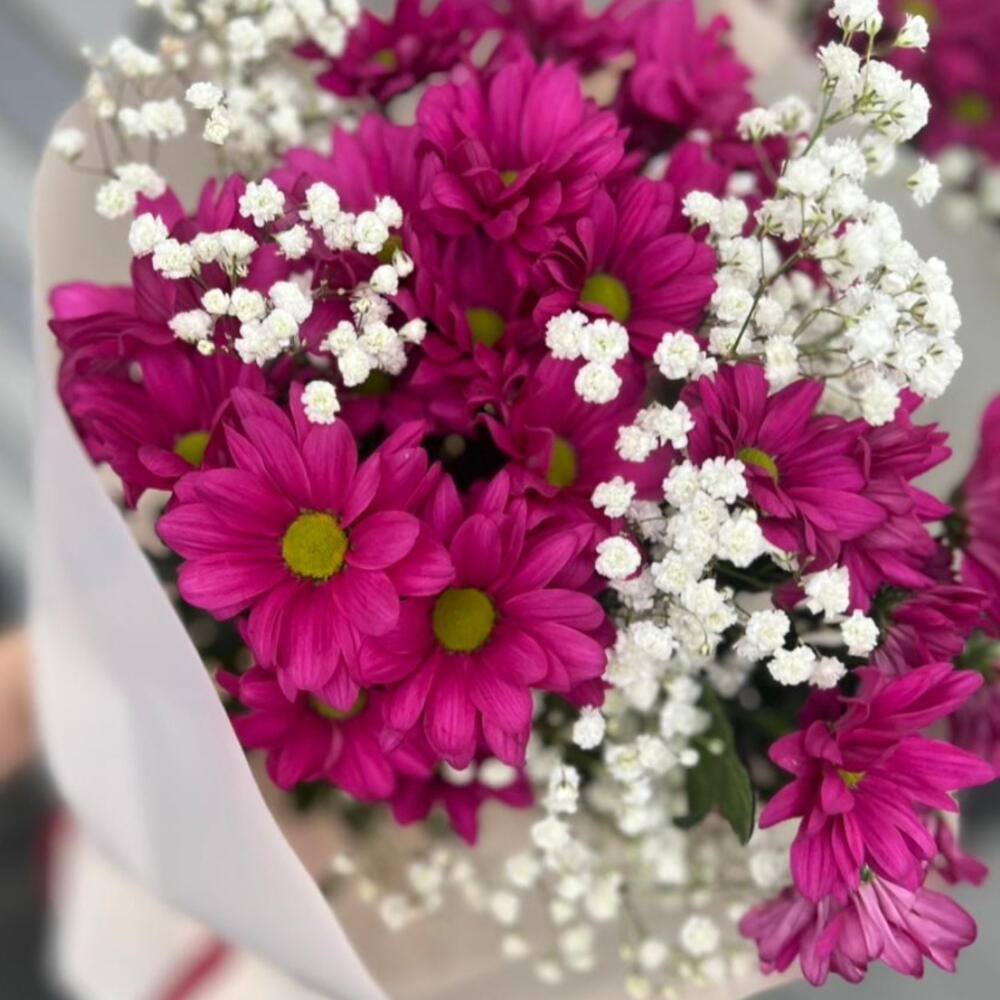 Ромашки для нее💗Букет с хризантемой и белой гипсофилой 🌸Хризантема Гипсофила Гипсофилы