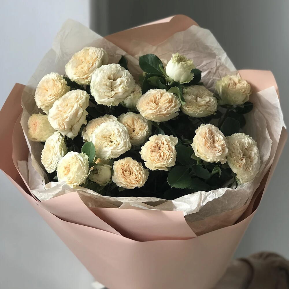 5 кустовых  пионовидных роз Summer Spray Rose