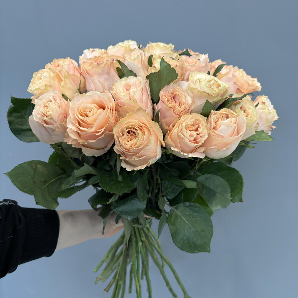 Роза Princess crown 50 см
