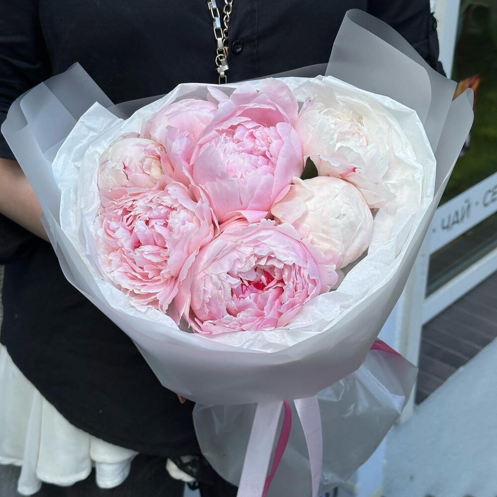 Букет пионов Сара 7 шт🌸