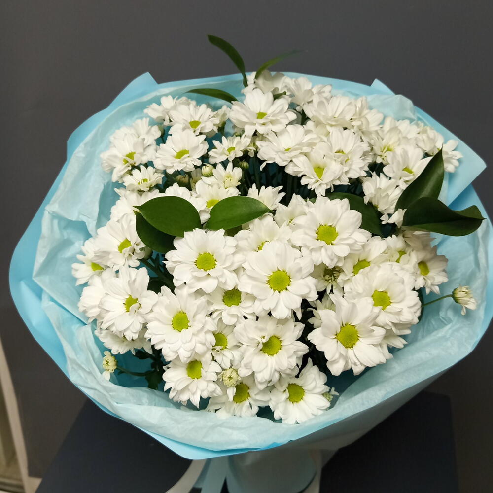 Букет из ромашковых хризантем с рускусом в голубой упаковке/доставка цветов в Уфе