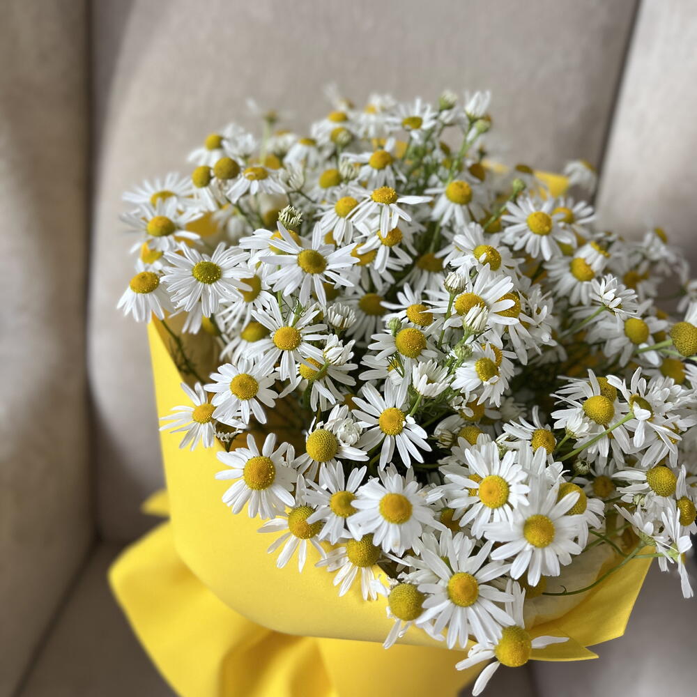 Букет из ромашек